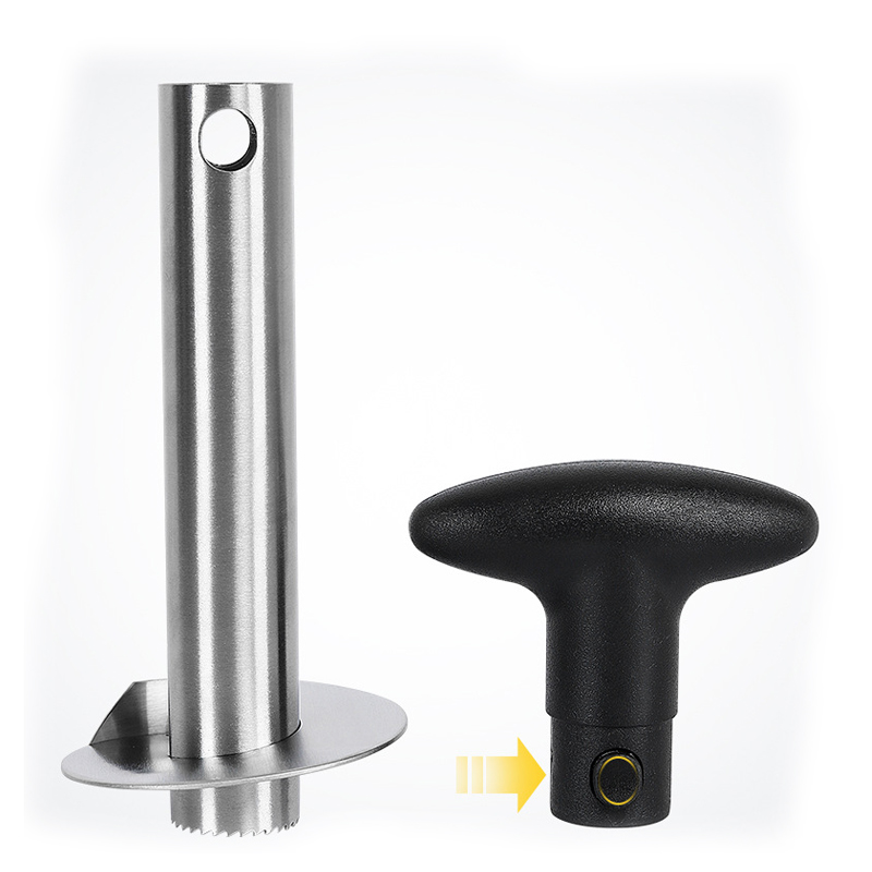 1pc de aço inoxidável fácil de - Pineapple Corer Slicer avaliação e preço
