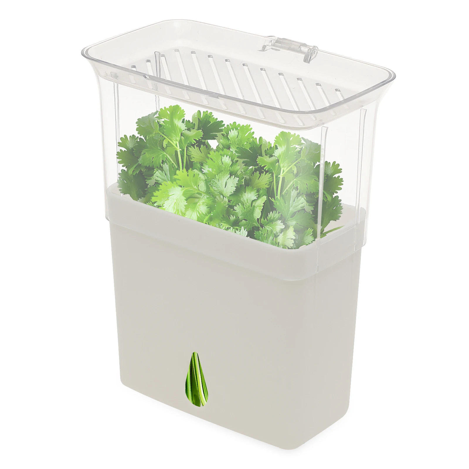 Recipiente Hermético Transpare - Herb Keeper Bottle avaliação e preço