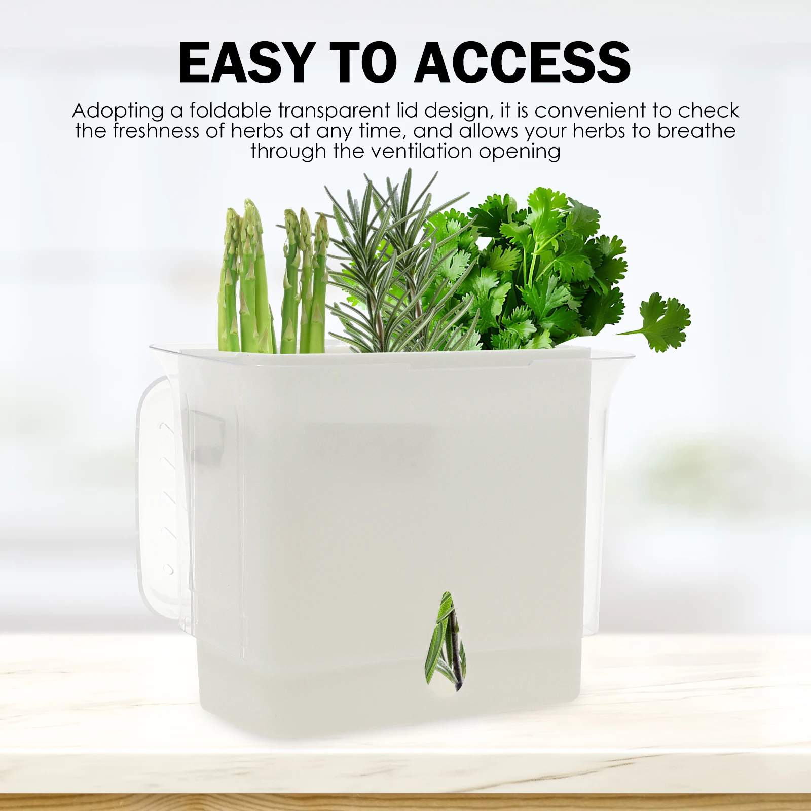 Recipiente Hermético Transpare - Herb Keeper Bottle avaliação e preço